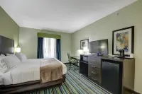 Holiday Inn Express & Suites Carrizo Springs by IHG - parking