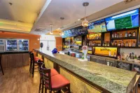 Holiday Inn LEON by IHG - bar