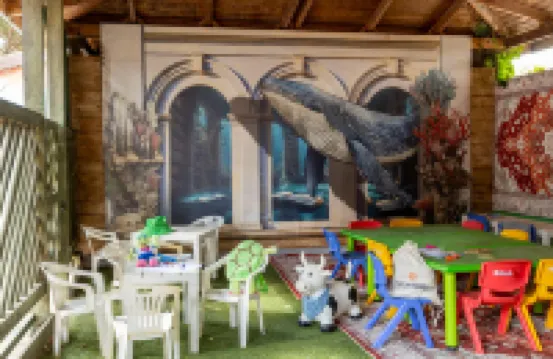 蓋塔維拉村海鷗