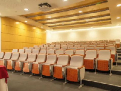 VIP行政亞速爾酒店 聖米格爾島酒店