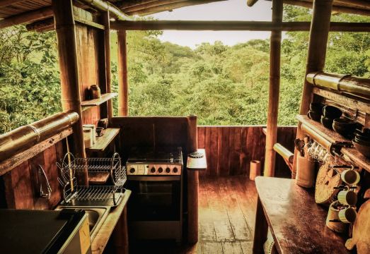 Toucan Lodge