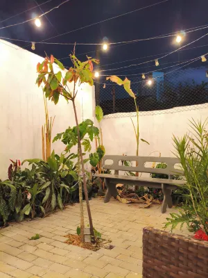 Hobi Hostel Boutique Hotels in 