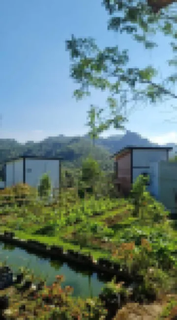 Menoreh Farm Stay Samigaluh Kulonprogo