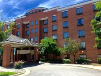 Comfort Suites Regency Park Hotels in Wake County