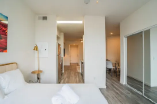 แอคเซส 3010