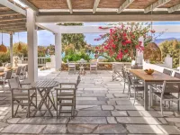 Thalassa Naxos Hotels near Agiassos Beach
