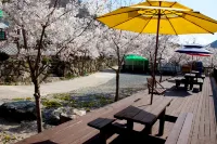 Miryang Sunflower Pension - ห้องครัว