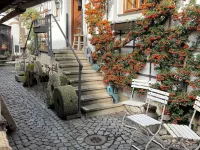 Romantik Hotel U Raka Hotels near Prague 6