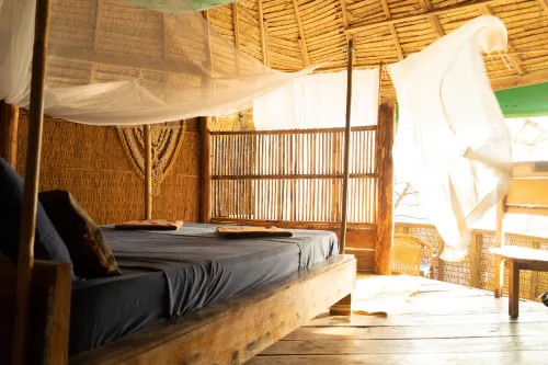 Kactus-Your Island Sanctuary on Koh Ta Kiev