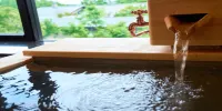 水雲亭旅館 - 溫泉