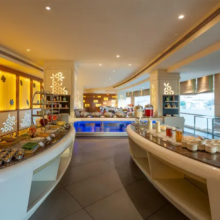 Radisson Udaipur