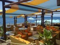 Grand Rotana Resort & Spa - Airport Shuttle