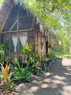 Nawala Eco-hostel - Wi-Fi