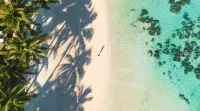 Motu Beachfront Art Villas - Villas