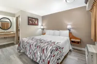 Red Roof Inn Chicago - Joliet - Bãi đậu xe