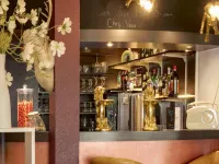 Hotel Arc-En-Ciel Colmar Contact Hotel - bar