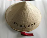 Toshichi Onsen Saiunso - 2-Star