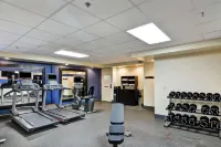 Hampton Inn Columbia-I-26 Airport - 2-Star