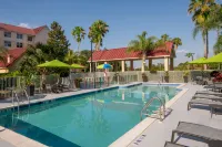 SpringHill Suites Orlando Convention Center/International Drive Area - piscine