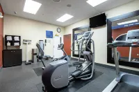 Hampton Inn Pine Grove - Gym