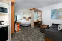 SpringHill Suites Tallahassee Central - 3-Star