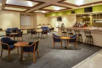 Fiesta Inn Ciudad Juarez - bar