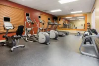 Hilton Garden Inn St. Louis Shiloh/O'Fallon - Gym