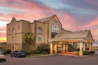 Comfort Inn & Suites FtJackson Maingate - Kæledyr tilladt