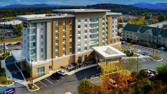 Hampton Inn & Suites Asheville Biltmore Area