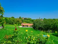 Madera Hotels in 