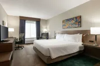 Hilton Garden Inn Harrisburg East - spa