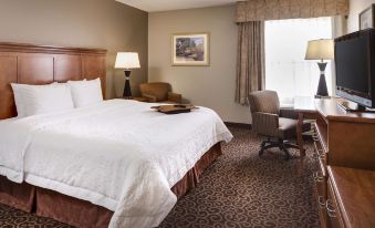 Hampton Inn Lincoln-South/Heritage Park