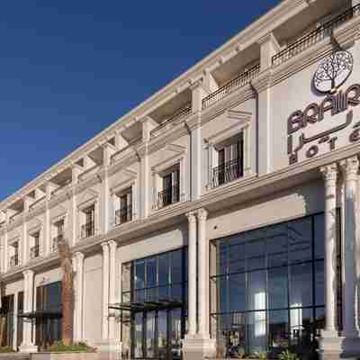 ブライラ アル ナキール ホテル Hotel Exterior