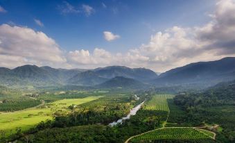 a breathtaking aerial view of a lush green valley with mountains in the background , and a river winding through it at Sleeping Giant Rainforest Lodge