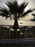 بيجاسوس موتل