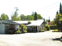 Tongariro River Motel Hotels near Gallery Pihanga Art