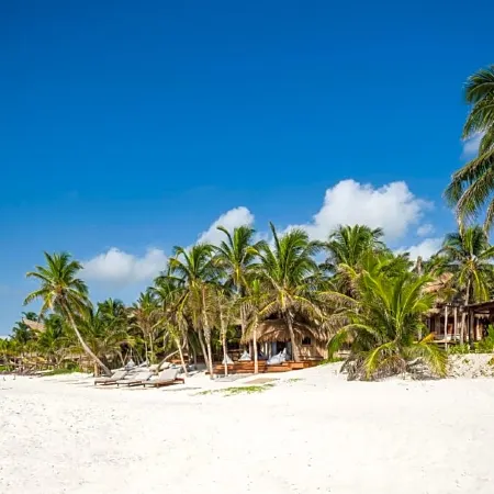 Delek Tulum