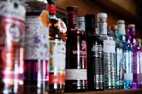 三薩爾蒙斯賓館 - 酒吧