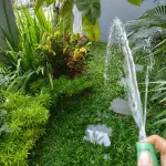 Pulunk Homestay Hotels in Wiradesa