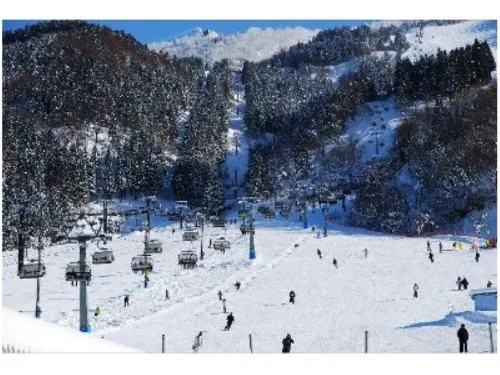 Lodge Taro Hotels in Nakaniikawa District