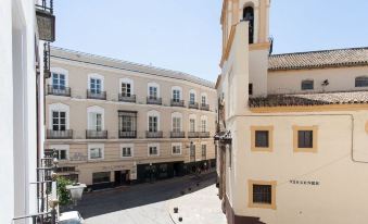 Casa Palacio Conde de Ibarra