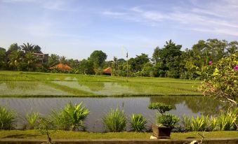 Kun - Kun Guest House Ubud