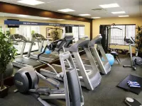 Hampton Inn by Hilton Sudbury, Ontario - palestra