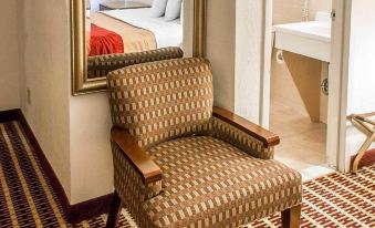 a chair is placed next to a bathroom sink and a bed in a hotel room at Economy Inn & Suites