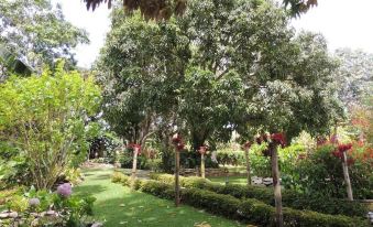 Sitio Alto da Montanha - você em Paz Com a Natureza