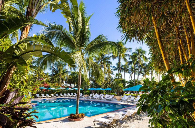 The Palms Hotel & Spa Miami Beach photo 5