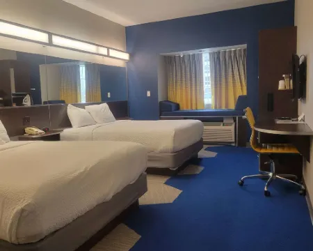 Microtel Inn & Suites by Wyndham Council Bluffs/Omaha Hotels in Lewis