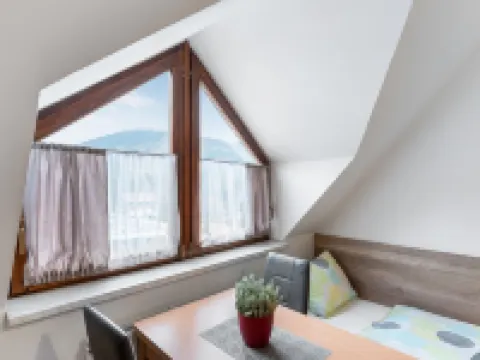 Harrachov Central Nest