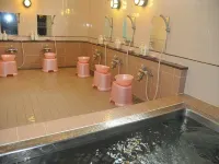 Okazaki Single Hotel Hotels in Okazaki