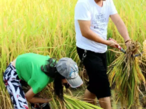 Yunyi View Hotel (Longsheng Longji Terraces Shop) Hotels in Longsheng